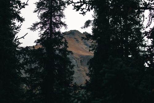 Free A picturesque mountain peak framed by dense forest trees in Jasper, Alberta, Canada. Stock Photo