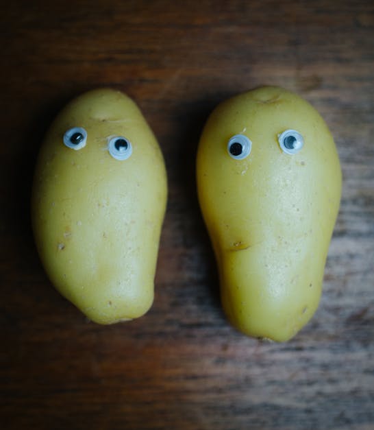 How to grow potatoes from potatoes with eyes