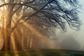 Artwork for Awakening Through Inner Stillness with Shawngela Pierce | Finding Consciousness Beyond the Noise