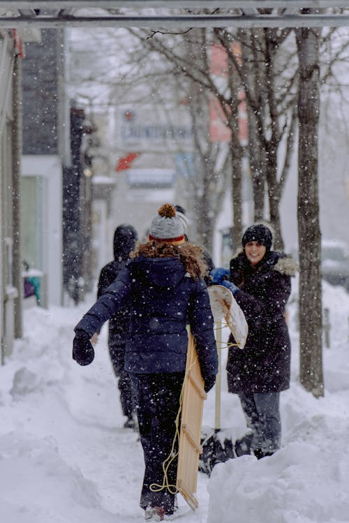 Gratis Fotos de stock gratuitas de caída de nieve, caminando, frío Foto de stock