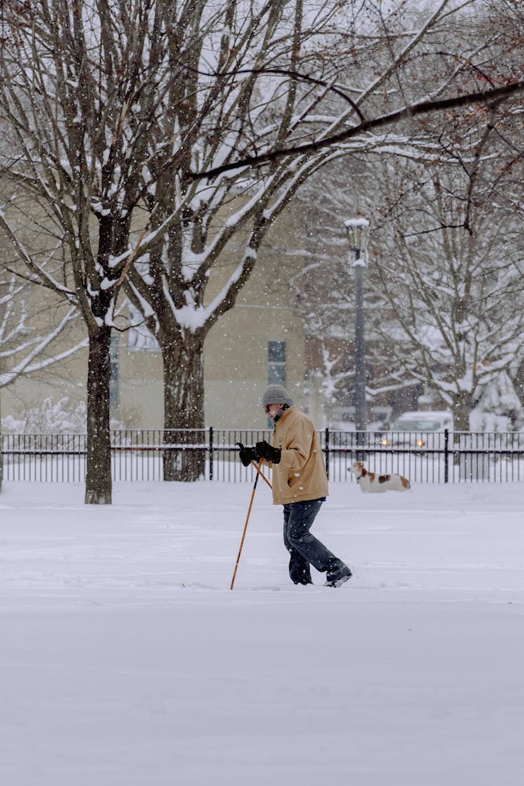 Man Nordic Walking In Snow 