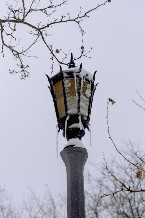 Photo of a Street Lamp