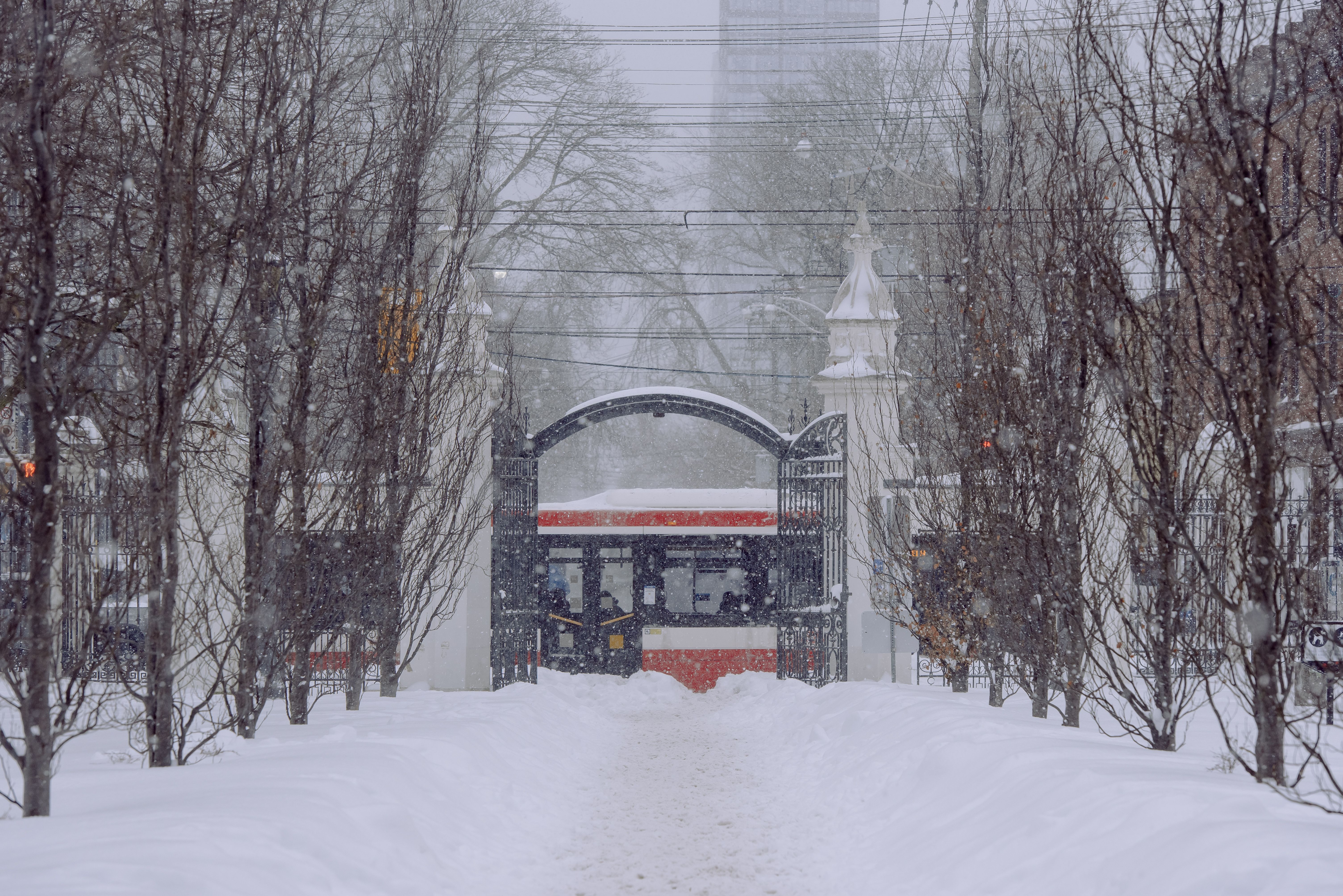 Open Gate Photos, Download The BEST Free Open Gate Stock Photos & HD Images