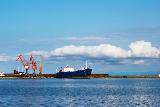 View of a cargo ship and cranes at Samsun port, Türkiye, depicting industrial shipping activities.