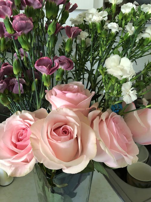 ピンクのバラ, ブーケ, フラワーズの無料の写真素材