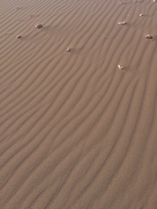 Photos gratuites de aride, désert, dunes