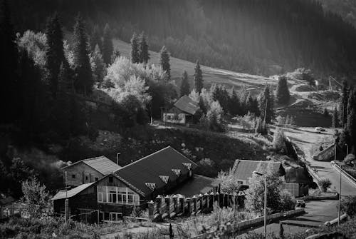 Grayscale Photo of Houses Near Trees