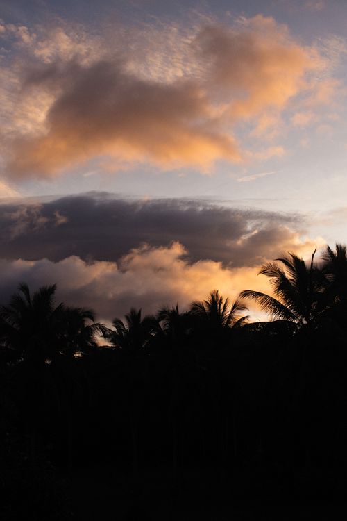 Free Silhouette of coconut palm trees against a vibrant sunset sky with clouds. Stock Photo