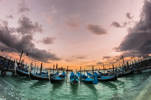 Photography of Canoes near the Dock