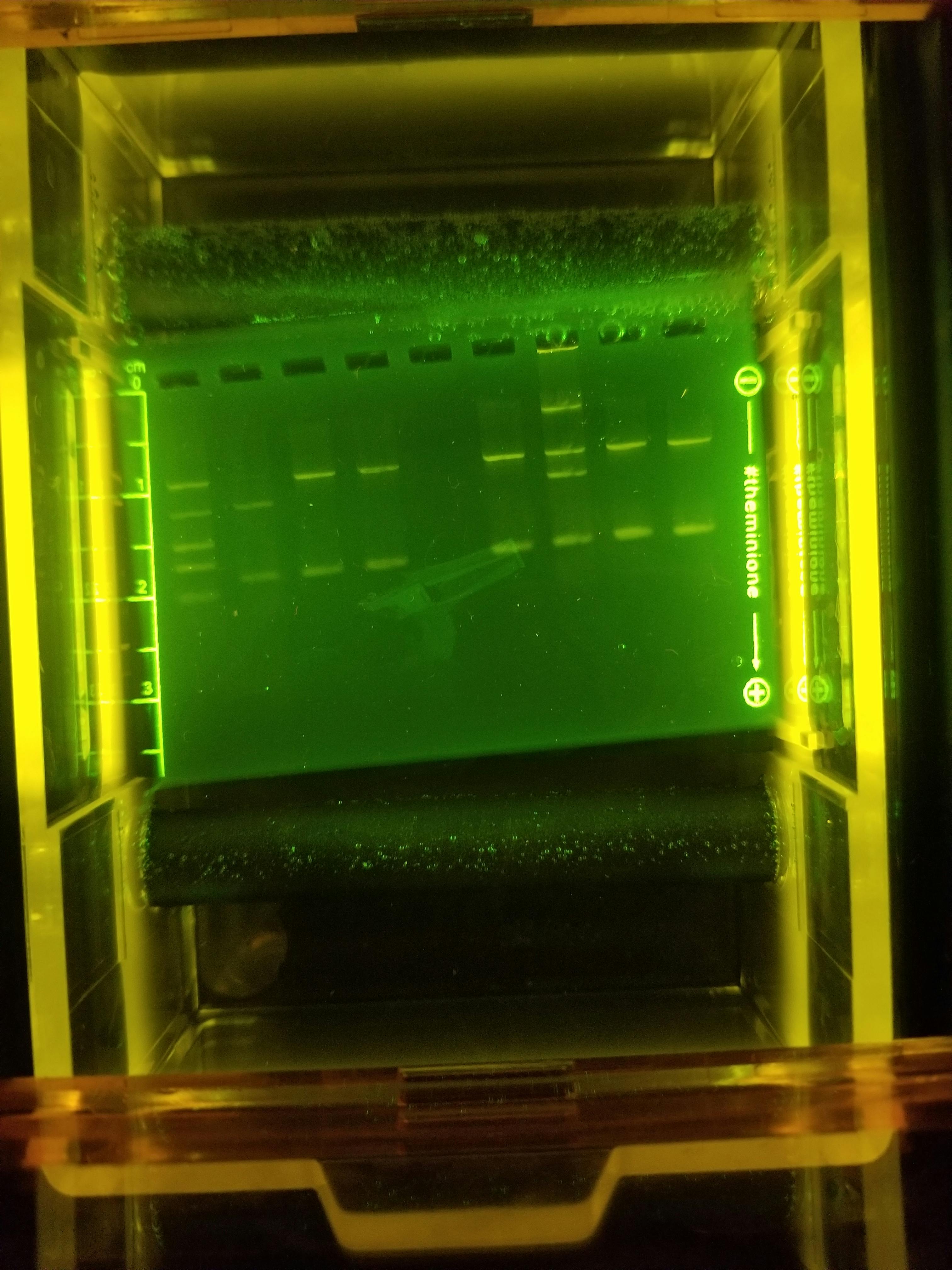 Free stock photo of biology, dna analysis, gel electrophoresis