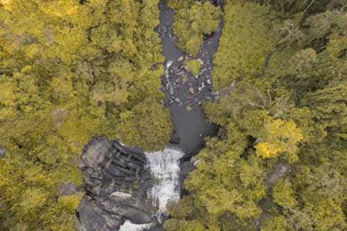 Free Aerial Shot of a Waterfall in the Forest Stock Photo