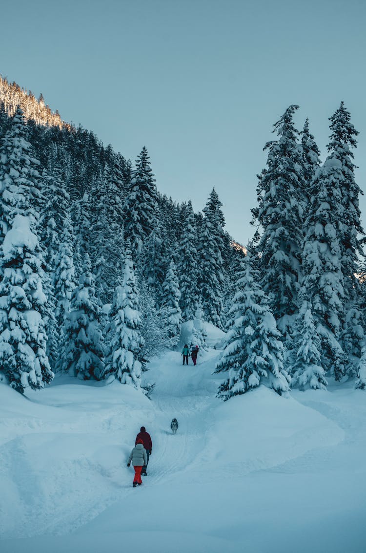 People Walking Through Deep Snow