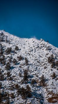 A serene winter landscape featuring snowy mountains and coniferous trees under a clear blue sky.