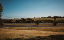 Free stock photo of agriculture, countryside, cropland