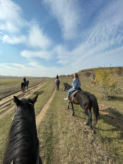 People Riding Horses on Grassland