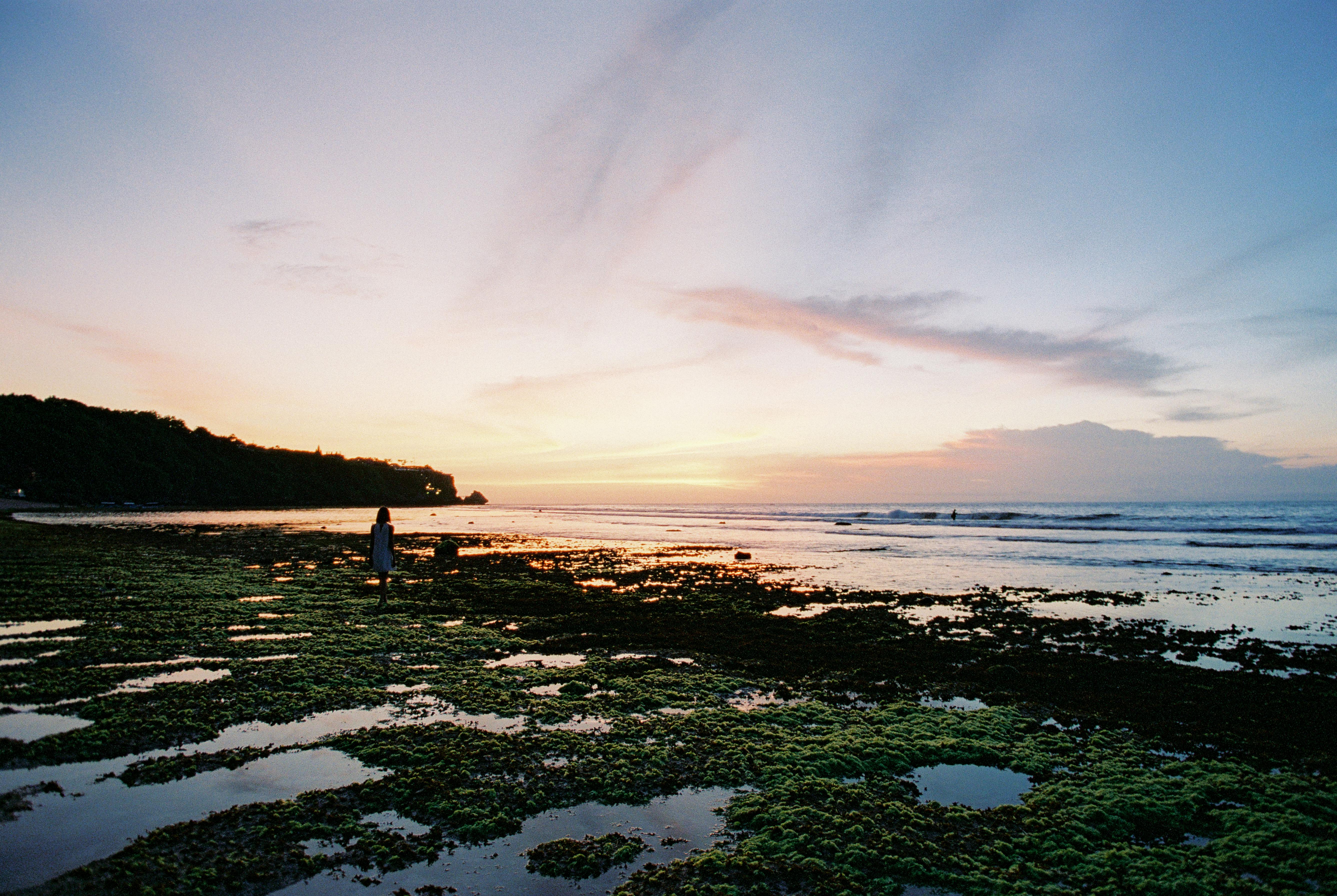 Serene sunset view over Bali beach with seaweed-covered shore. Ideal for nature lovers.