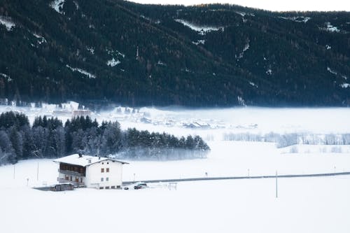 Ingyenes stockfotó hó, hó táj, köd témában