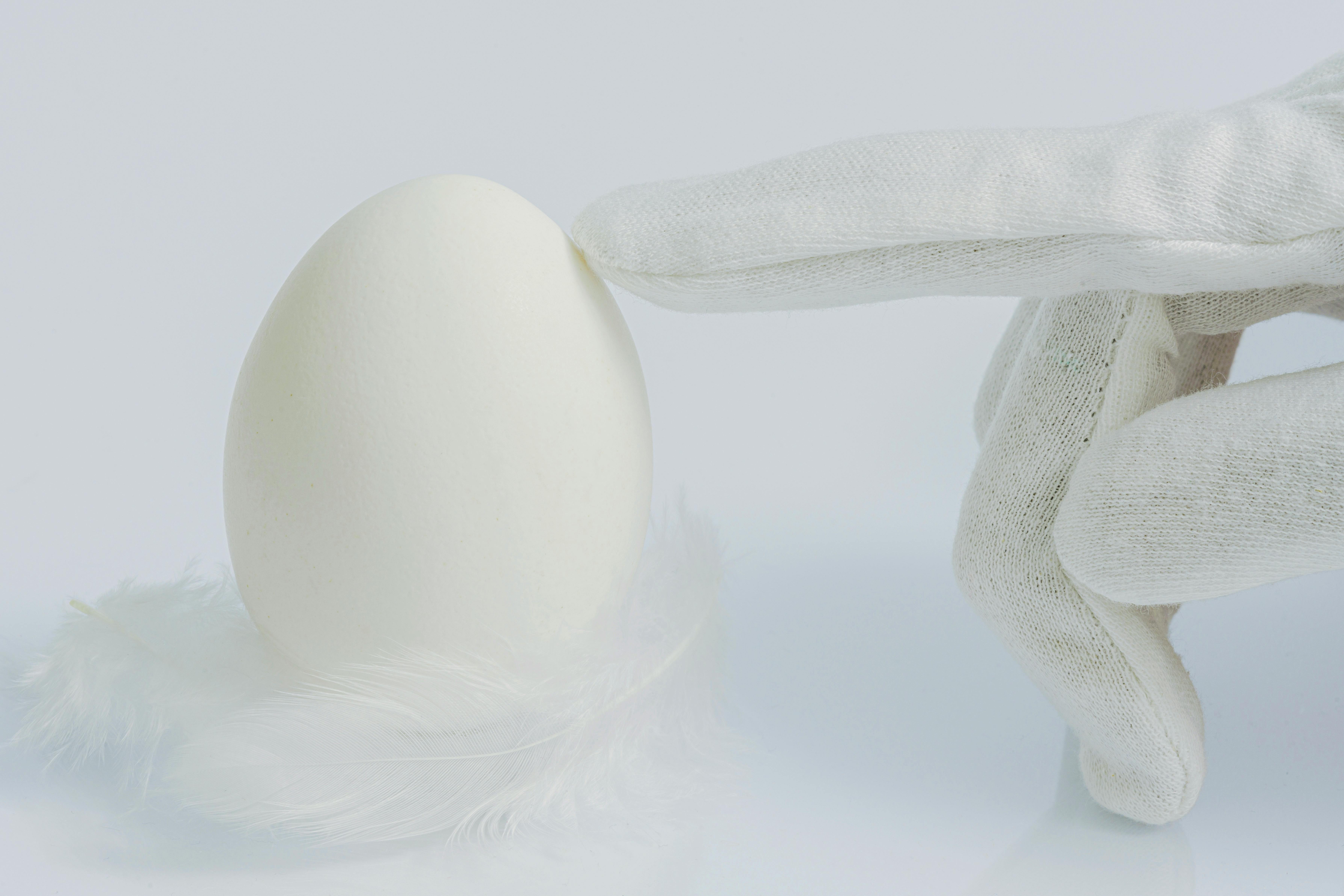 secure nest egg in retirement - best retirement funds