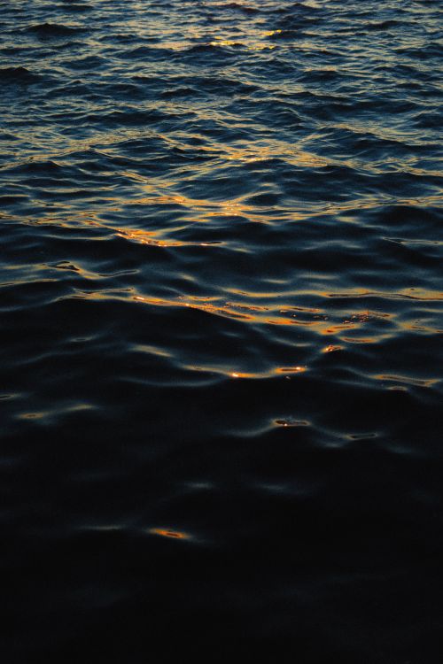 Free Calm ocean waves with golden sunlight reflections at twilight, capturing serenity. Stock Photo