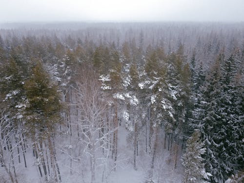 Безкоштовне стокове фото на тему «вид, дрон, зима» стокове фото