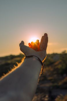 A radiant sunset with a hand holding an orange flower, symbolizing hope and warmth.