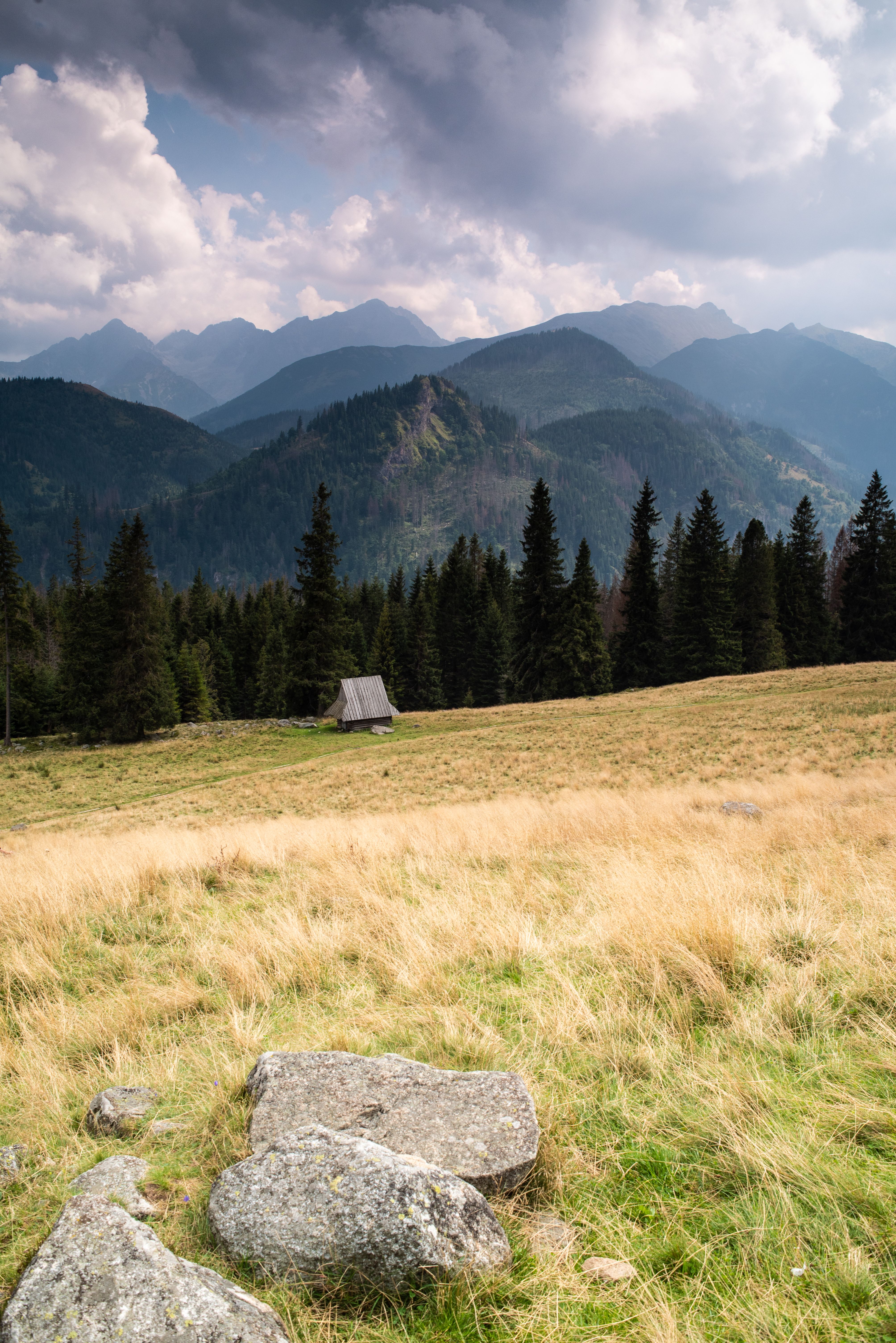 Serene mountain landscape with grassy fields, trees, and cloudy sky.