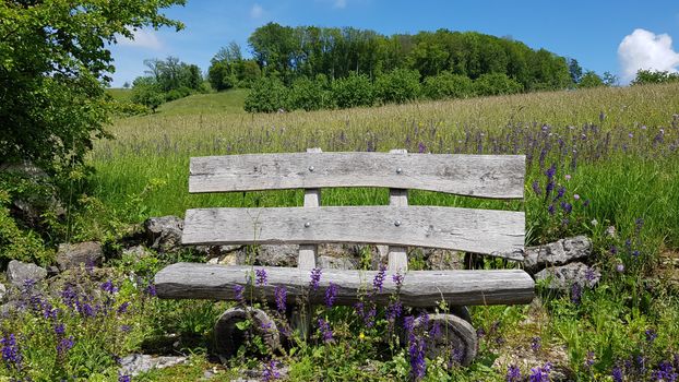 Brown Wooden Bench on Green Grass Field
