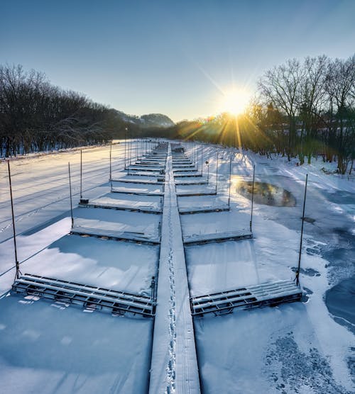 Photos gratuites de arbres de conifères, couvert de neige, enneigé