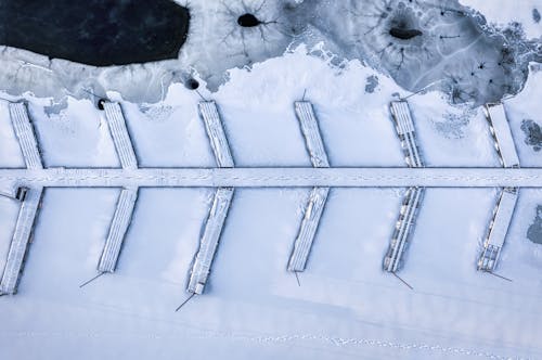 Photos gratuites de arbres de conifères, couvert de neige, enneigé