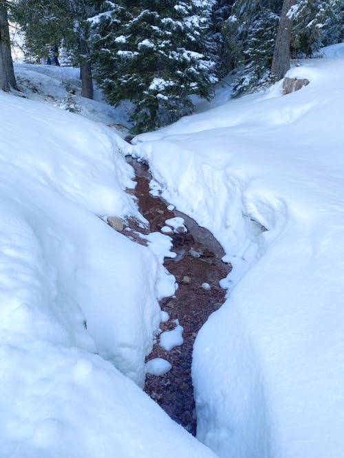 Fotos de stock gratuitas de nevar, riachuelo