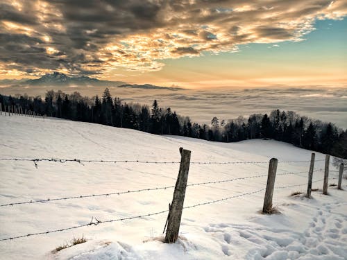 Fotos de stock gratuitas de hermoso atardecer, nevar, puesta de sol