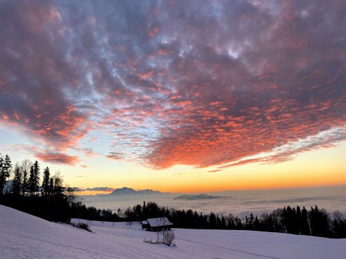 Fotos de stock gratuitas de hermoso atardecer, nevar, puesta de sol