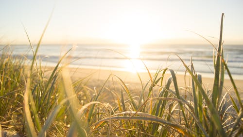 Free Sea Horizon Stock Photo