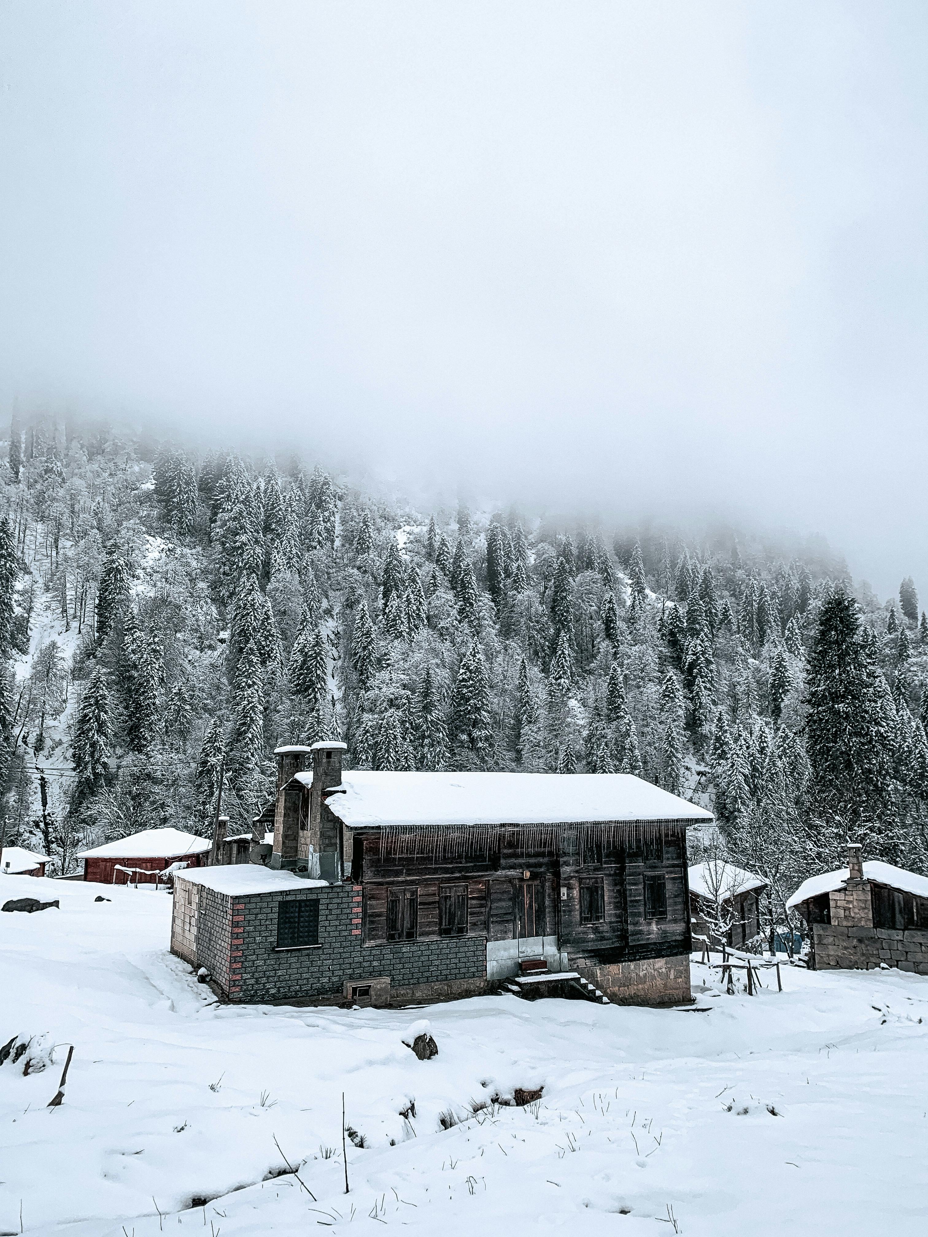 Should roof vents be covered in winter?