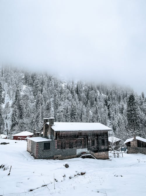 Gratis lagerfoto af bjerg, forkølelse, frostklart vejr