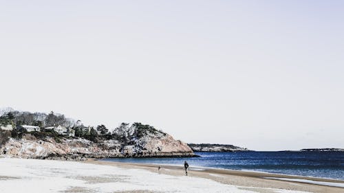 бесплатная Человек идет на берегу моря Стоковое фото