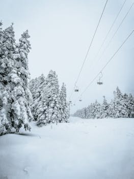 Snow-covered trees and cable cars create a serene winter scene in Bursa, Turkey.