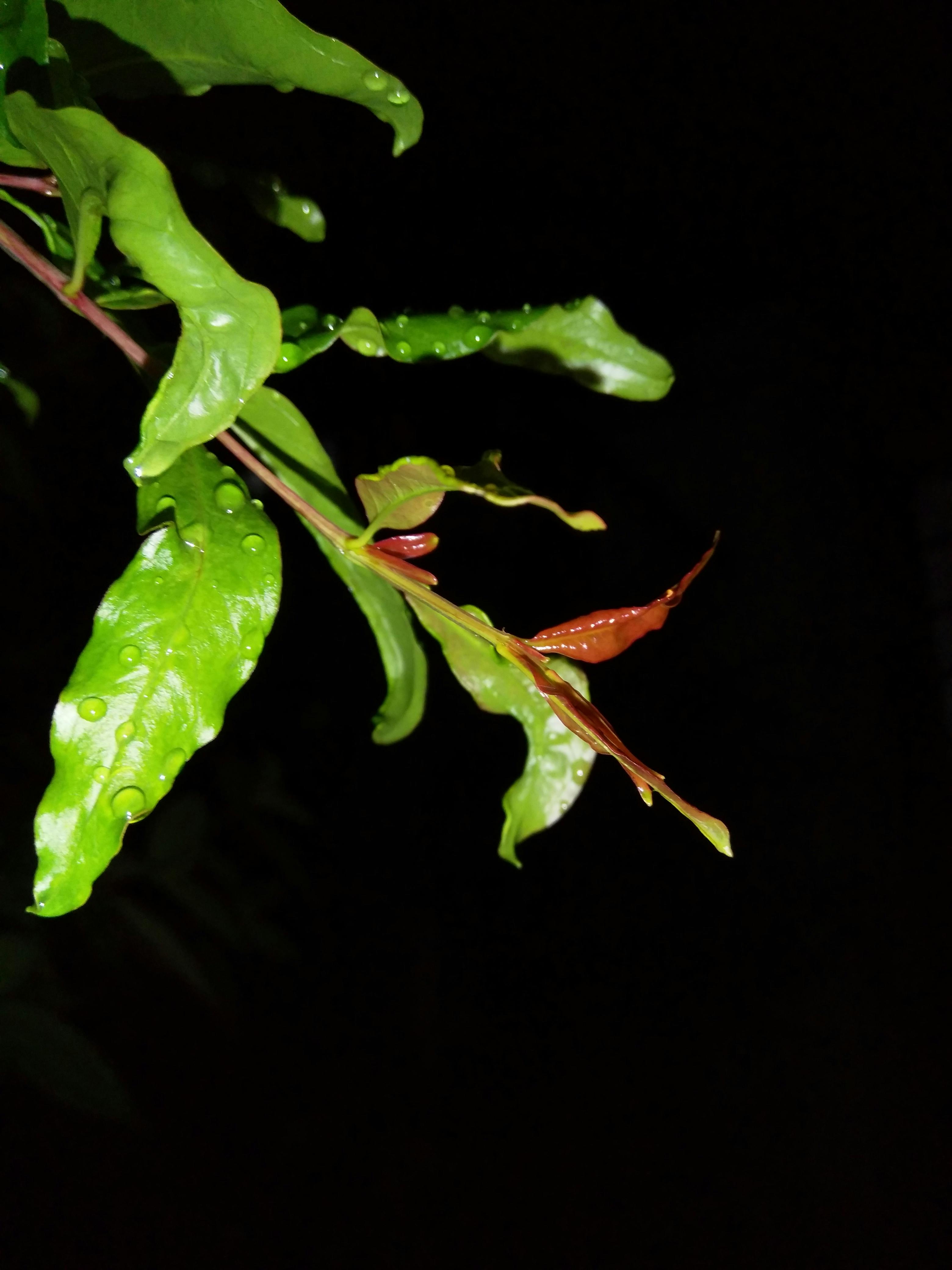 절세 효과 아이콘