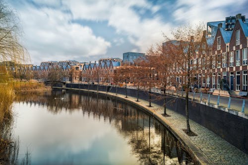 무료 강, 건물, 구름의 무료 스톡 사진