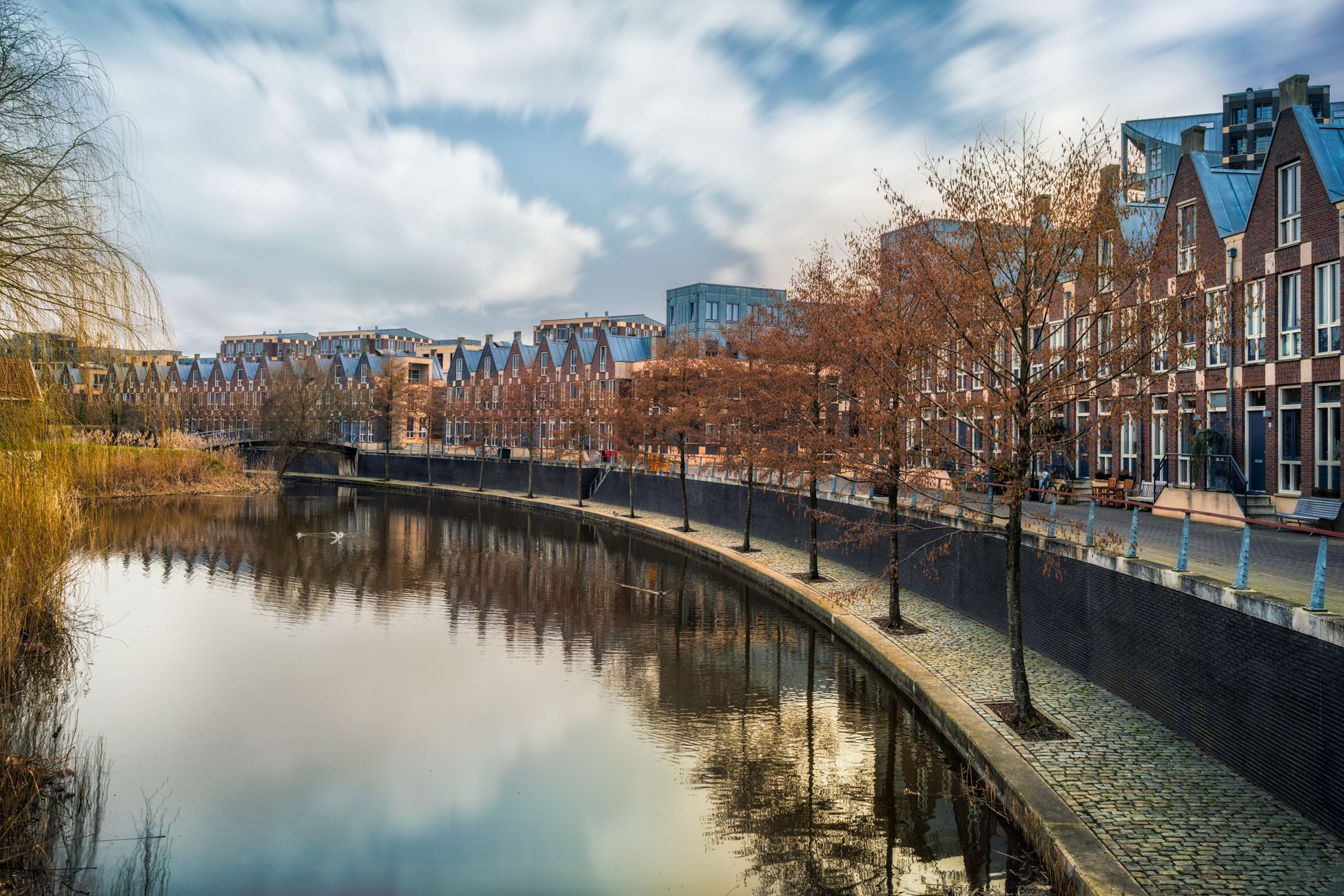Opvang zwerfkatten in Amsterdam zit vol