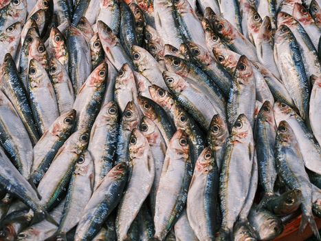 A detailed close-up of fresh sardines displayed at a market, highlighting the texture and shine.