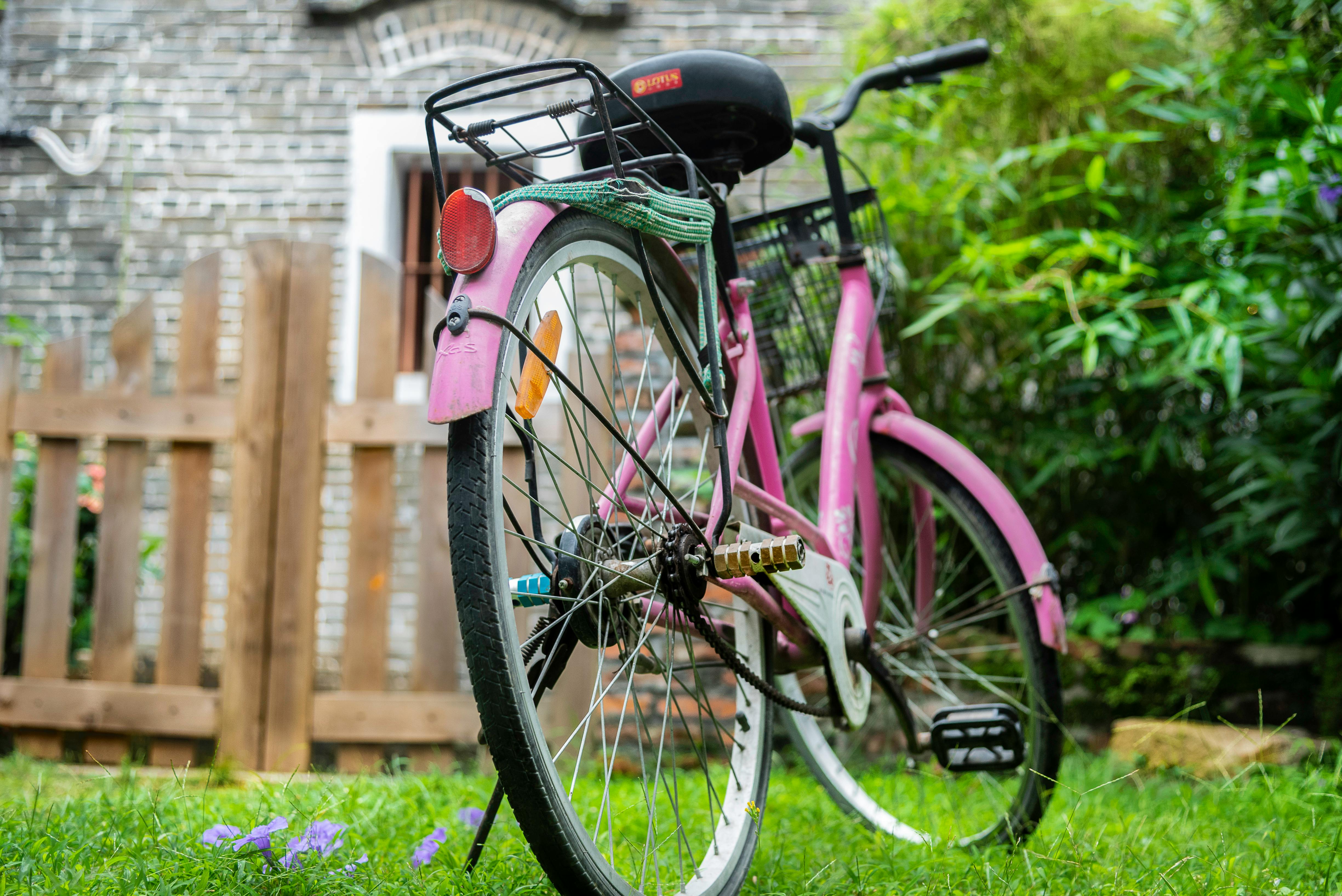 Photography of Bicycle in the Garden · Free Stock Photo