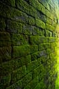 Photography of Bricks Covered with Moss