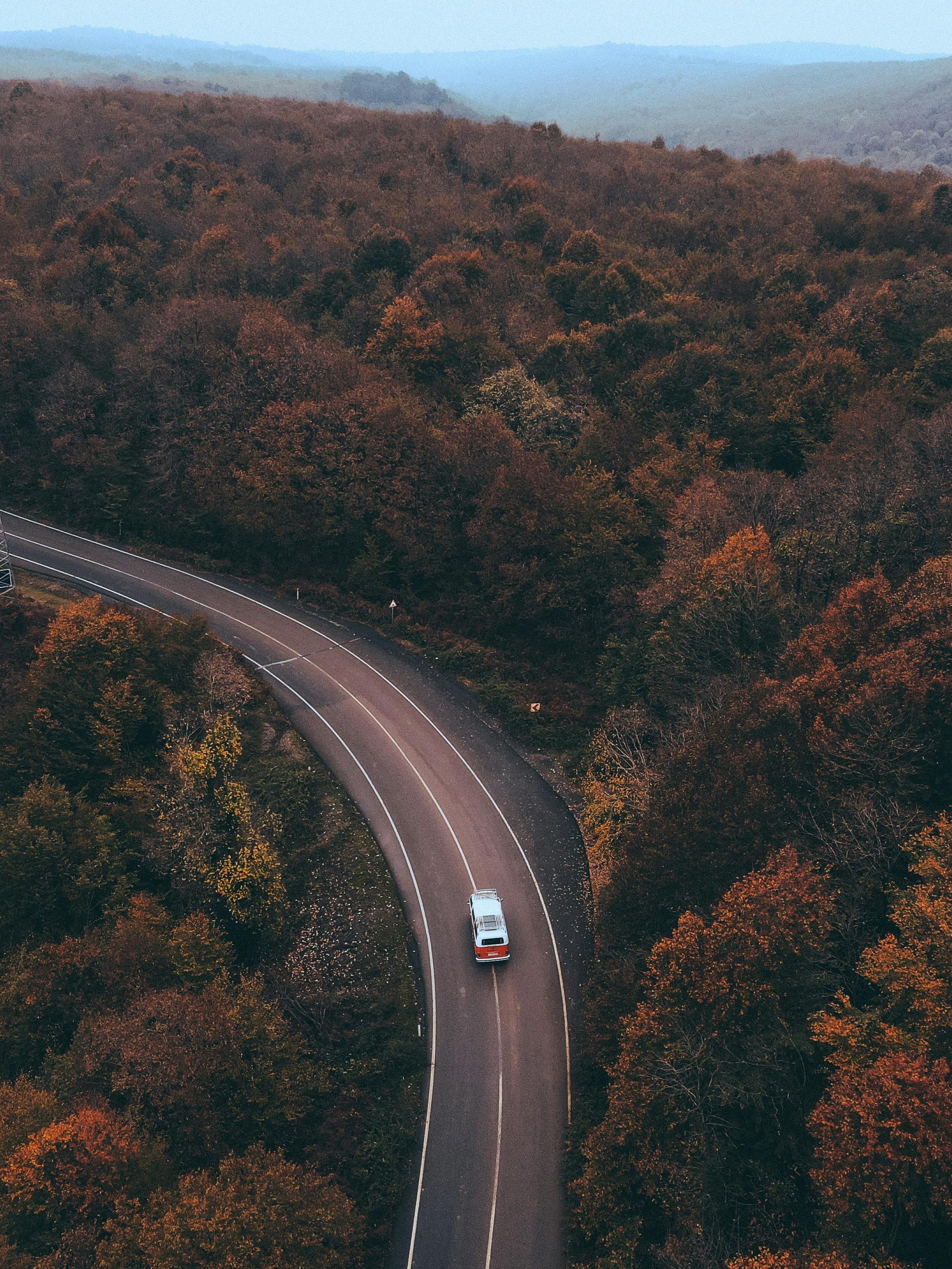 A vintage car travels along a winding road through an autumn forest in İstanbul, Turkey.