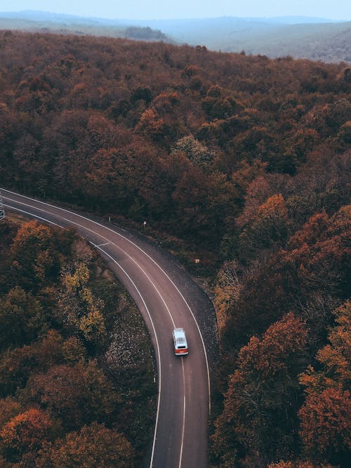 公車, 森林, 秋季 的 免費圖庫相片