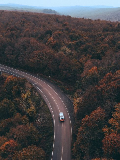 A vintage car travels along a winding road through an autumn forest in İstanbul, Turkey.