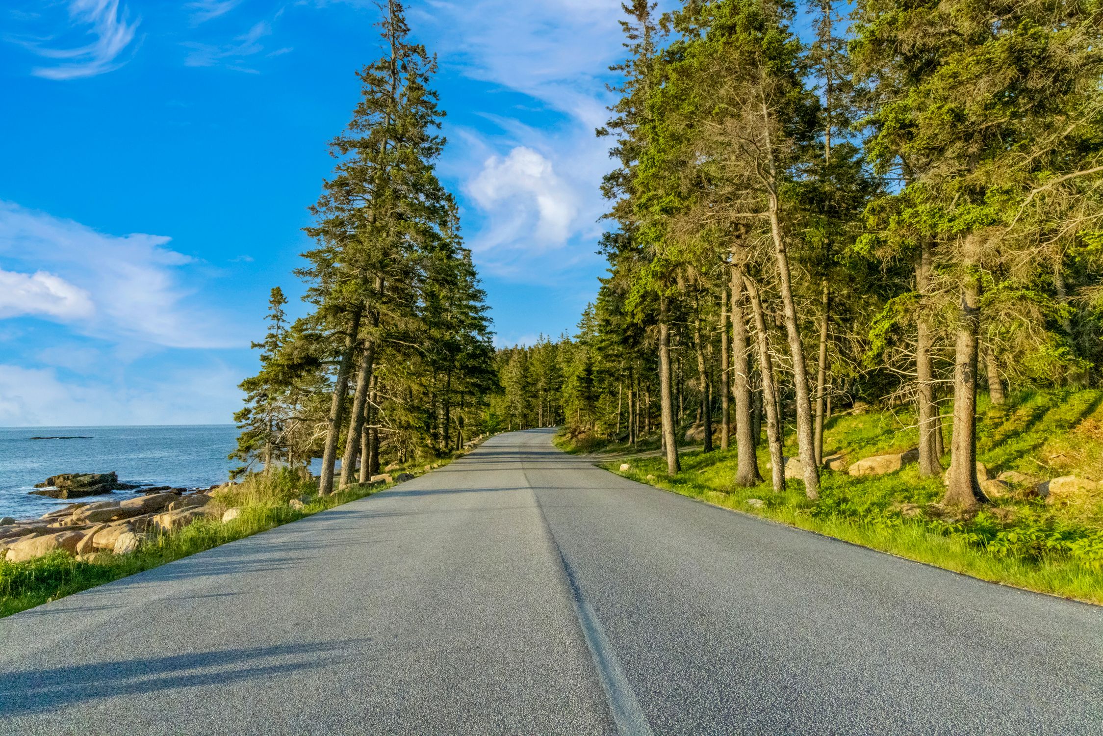 Serene coastal road in Maine surrounded by lush greenery and blue sky, perfect for a calm drive.
