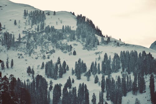 Kostnadsfri bild av berg, kall, landskap