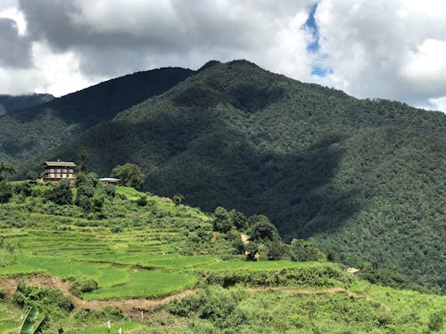 白い空の下の山の近くの木々に囲まれた茶色と黒の木造住宅