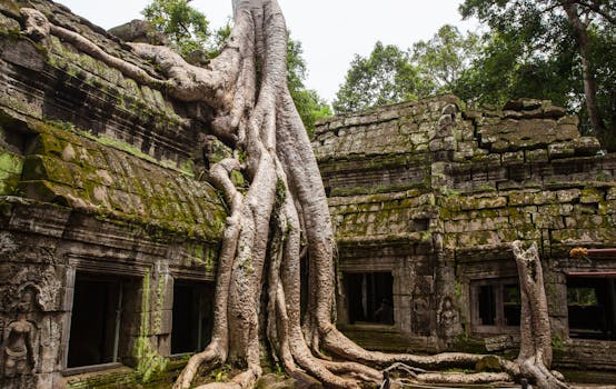 Ancient Ta Prohm temple with massive tree roots in Siem Reap, Cambodia.